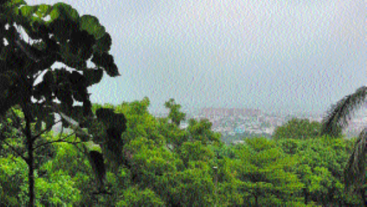 Gaurihar drenched in 182.0 mm rainfall as low-pressure system sets on Central India
