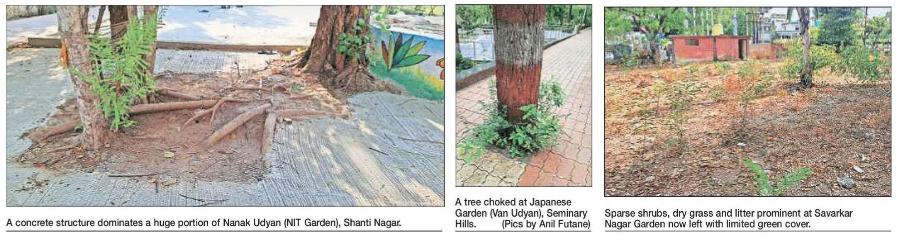 Gardens losing Green purpose amid concretisation 
