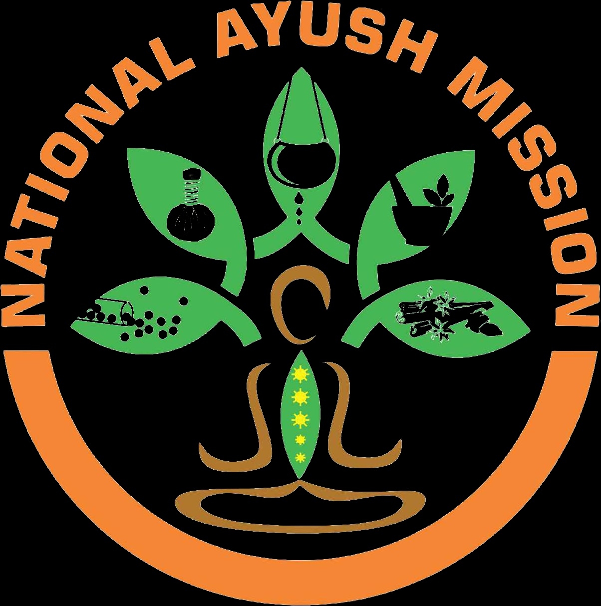 Nagpur tops Maharashtra with 40 Ayushman Arogya Mandirs under National AYUSH Mission