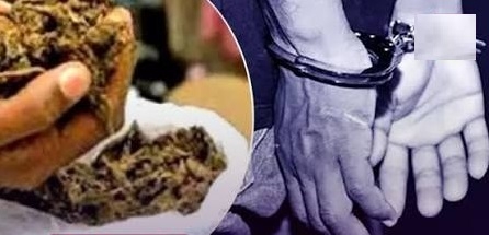 Man possessing 2point 69 kg ganja held in Dhantoli