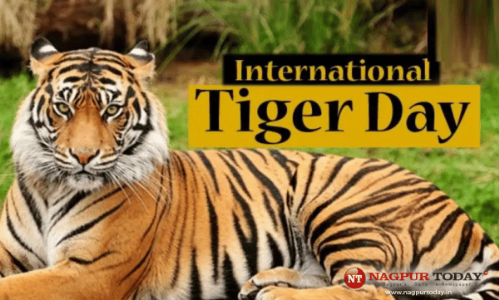 Maha to host International ‘Tiger Day’ at IIM Nagpur