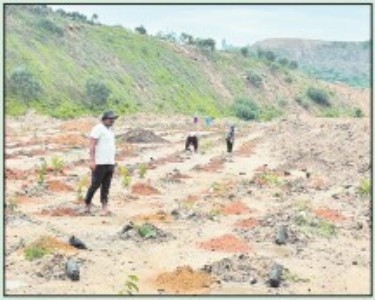 From coal pits to forests, CIL launches landmark mine restoration initiative