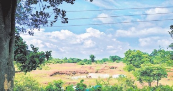 Rain expected to pick up pace in MP