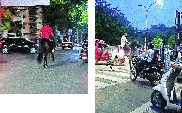 A man riding a horse on Amravati Road