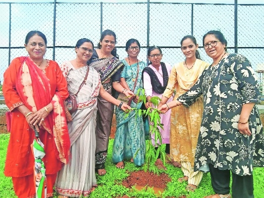 Bramhapuri MC holds tree plantation drive