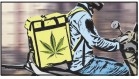 Over 10 kg ganja