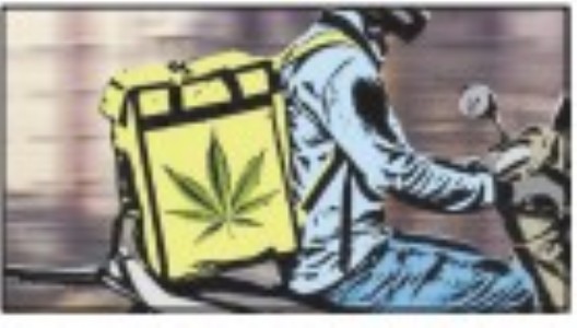 Over 10 kg ganja consumed daily in city!