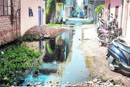 Monitoring of empty plots to prevent dengue-chikungunya
