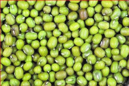 Moong procurement capped at 25% leads to distress among farmers