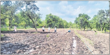 CM to dedicate 