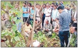 Tiger kills man