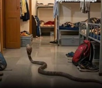 NHRC takes suo motu action on Ashram School snake-bite incident
