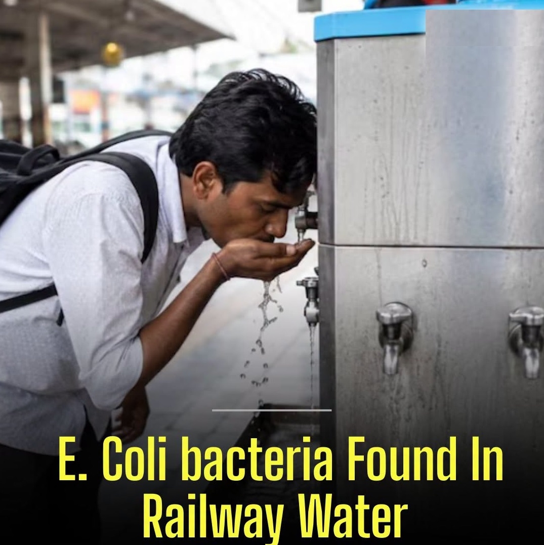 E COLI bacteria in railway stations