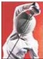 Nagpur fencing