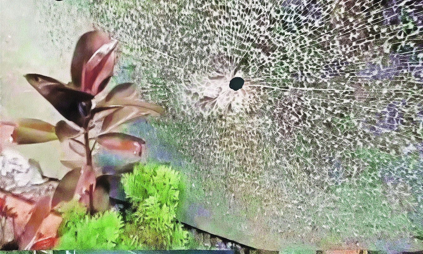 Shots fired at Cong corporators house