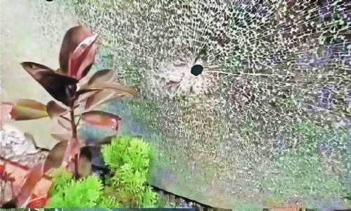Shots fired at Cong corporator’s house