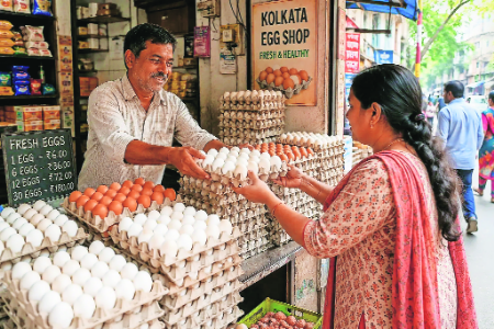 Egg prices witness sharp decline as demand slows down