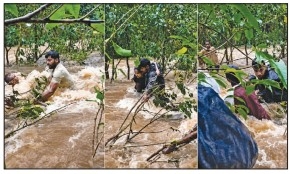 Seven tourists trapped 