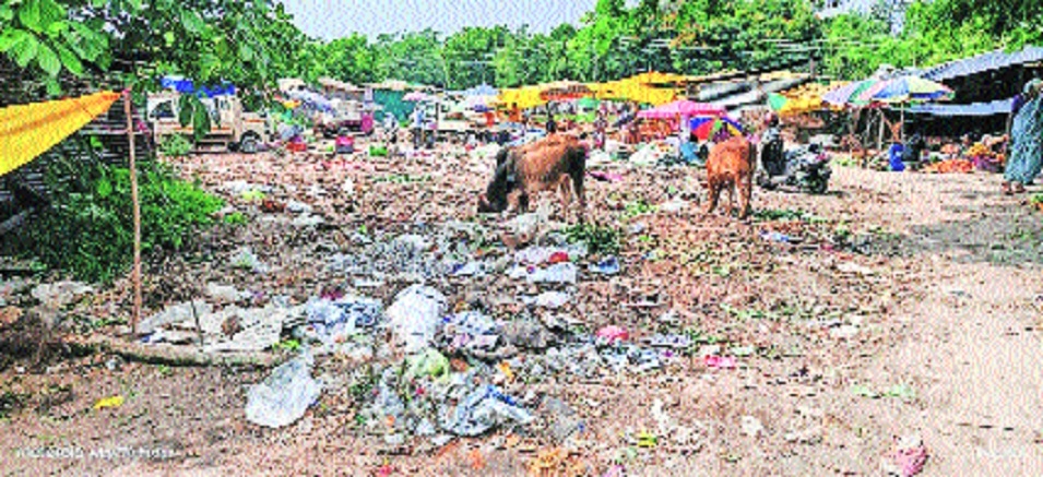 Fresh vegetables foul stench Budhwar Bazaar showcases civic neglect 