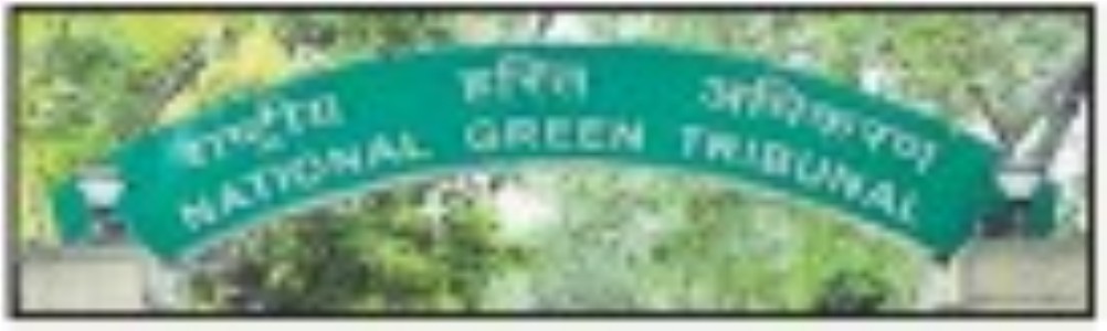 NGT flags illegal constructionwithin 100m of Van Vihar