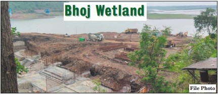 NGT orders WRD