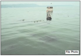 BHOJ WETLAND