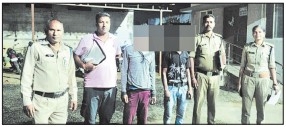 225 absconding