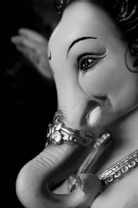 Beloved Bappa