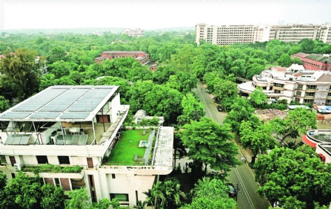 36,069 compensatory trees yet to be planted in Nagpur