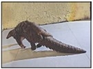 RS 6,000