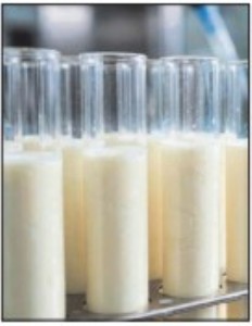 MP’s first hi-tech dairy lab ready in Bhopal to put milk to 100+ tests