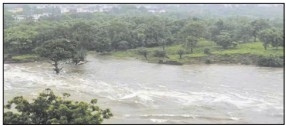 MP ON FLOOD ALERT