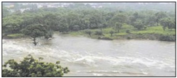 MP ON FLOOD ALERT: Riversin spate, dam gatesopened; warning in 15 distts